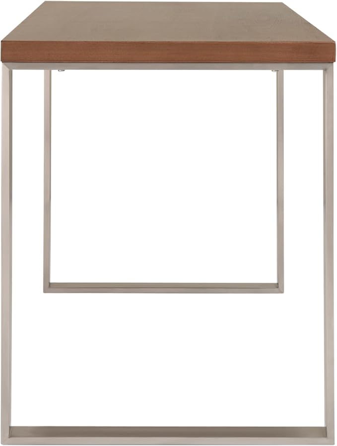 Euro Style Dillon 47" Home Office Writing Gaming Desk | Modern Industrial with Warm Wood | Lacquer Finished Wood | Professional-Grade Construction for Daily Use | Walnut, Brushed Stainless Legs