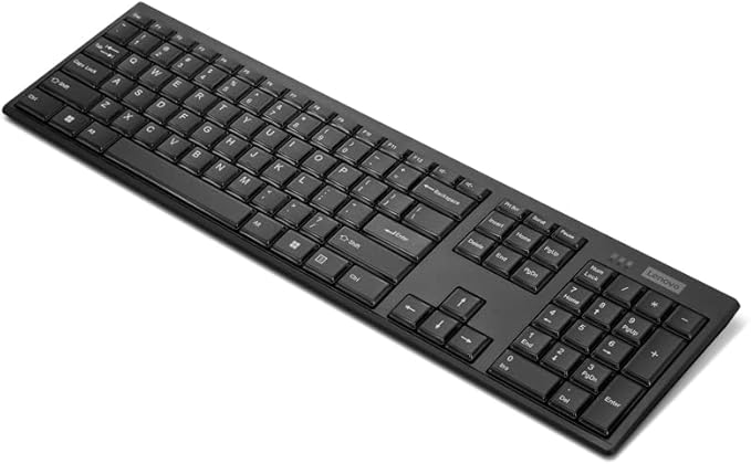 Lenovo 100 Wireless Compact Keyboard Cordless Keyboard for PC & Laptop with Windows Silent Keys Full-Size Layout with Numeric Keypad Plug & Play USB Receiver Portable, Black