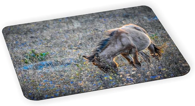 Horse in Field Blue Flowers - Ultra Thin Non-Slip Mouse Pad Mousepad for use with Laptops, Macbooks, Travel