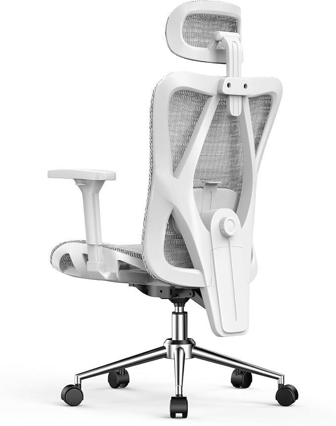 naspaluro Ergonomic Office Chair Mesh Desk Chair with Adjustable Headrest Lumbar Support 3D Armrest 90-135° Reclining Chairs for Home Office, Study, Work & Gaming (Grey)