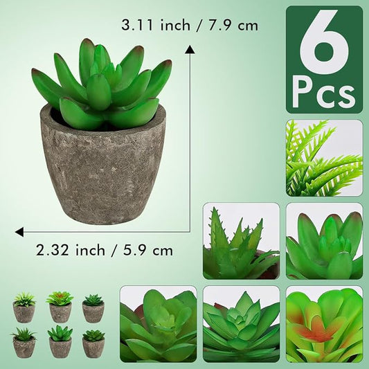 Succulents Plants Artificial Set of 6 Small Realistic Fake Succulent Plant in Pots Realistic Faux Greenery Plants Potted for Home Office Desk Indoor Bedroom Living Room Decoration