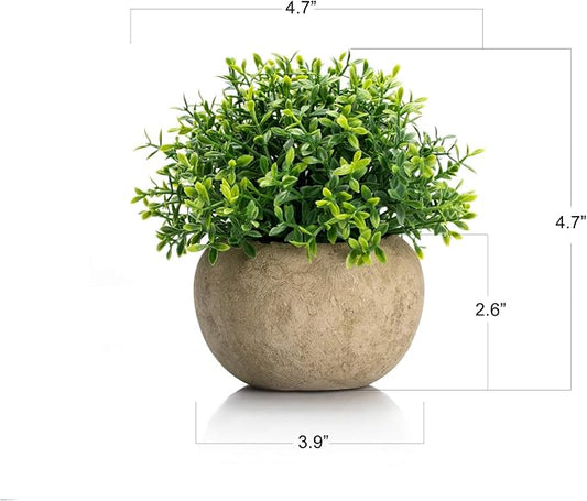 Velener 2Pcs Mini Artificial Boxwood Topiary Faux Plants Indoor- Small Fake Plants Decor Magnolia Home Office Desk Cubicle Farmhouse Kitchen Bookshelf Bedroom Bathroom Decor, Aloe Vera Zen Garden