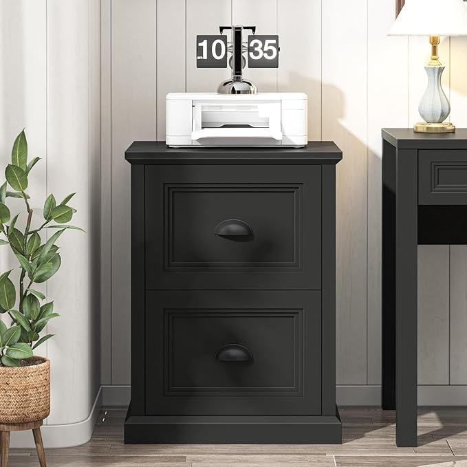 Halitaa Vertical File Cabinet, Filing Cabinet with 2 File Drawers, Farmhouse Small File Cabinet Fits Letter/A4 Size, Wooden Printer Stand, Under Desk Cabinets for Home Office, Black