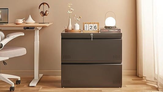 Guizeeopo Metal File Cabinet with Lock, 2 Drawer Lateral File Cabinets for Home Office, Printer Stand, Heavy Duty Office Storage Cabinet for A4/Letter/Legal Size, Assembly Required(Black)