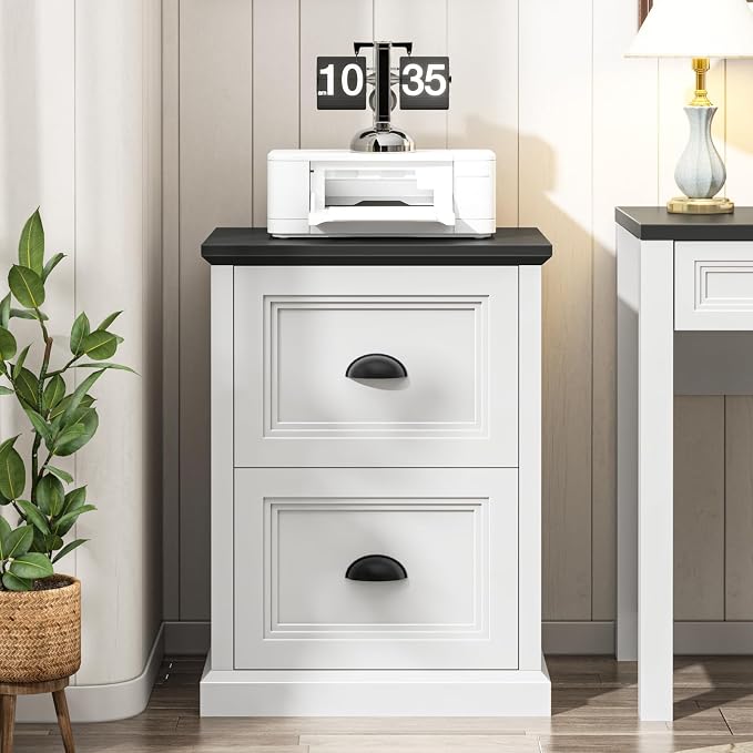Halitaa Vertical File Cabinet, Filing Cabinet with 2 File Drawers, Farmhouse Small File Cabinet Fits Letter/A4 Size, Wooden Printer Stand, Under Desk Cabinets for Home Office, White and Black