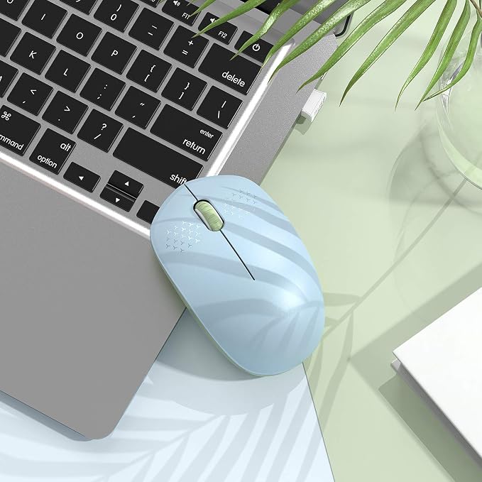 seenda Wireless Mouse for Laptop, 2.4G Noiseless Mouse with USB Receiver - Optical Tracking Portable Computer Mice for Chromebook, PC, Tablet, Windows, 24 Months Battery Life - Light Blue&Olive Green