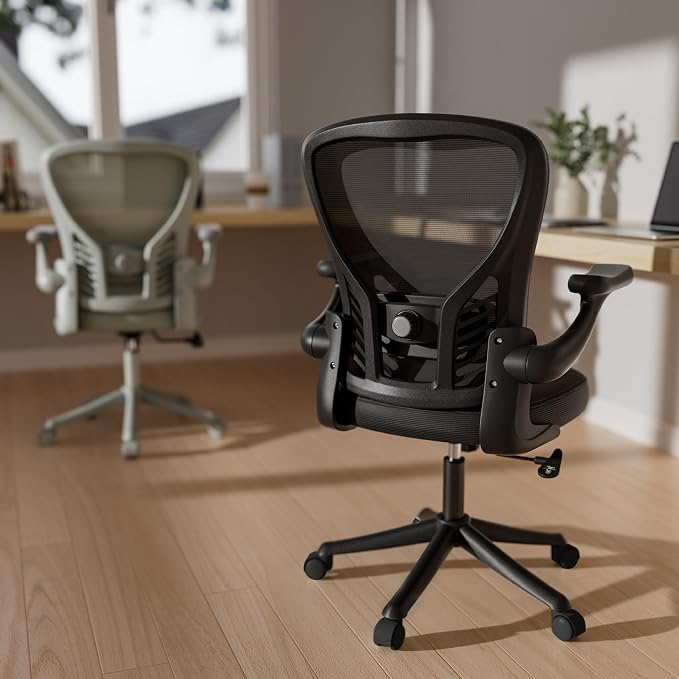 GYI Ergonomic Mesh Office Desk Chair, Black | 3D Flip-up Arms, Adjustable Lumbar Support, Adjustable Height, Study Room, Bedroom, Conference Room