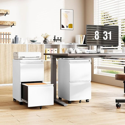2 Drawer File Cabinet with Lock, Small Rolling Filing Cabinet for Home Office, Printer Stand, 2 Drawer Under Desk Filing Cabinet with Wheels for Legal/Letter/A4 (Fully Assembled,White)