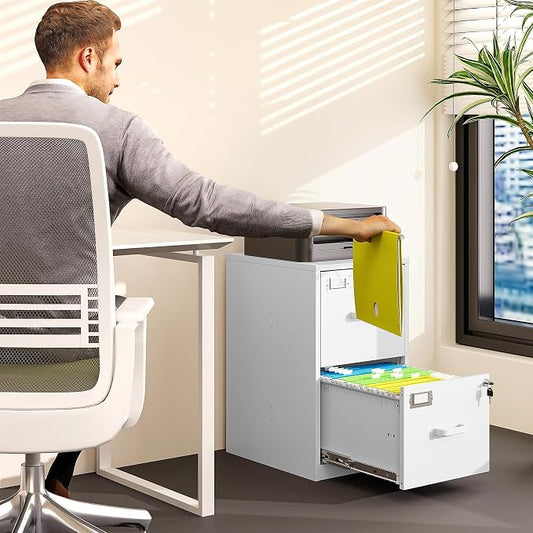 BYNSOE 2 Drawer File Cabinet with Lock Vertical Filing Storage Office Home Steel Vertical File Cabinets for Letter Size File Cabinet Locked,Assembly Required