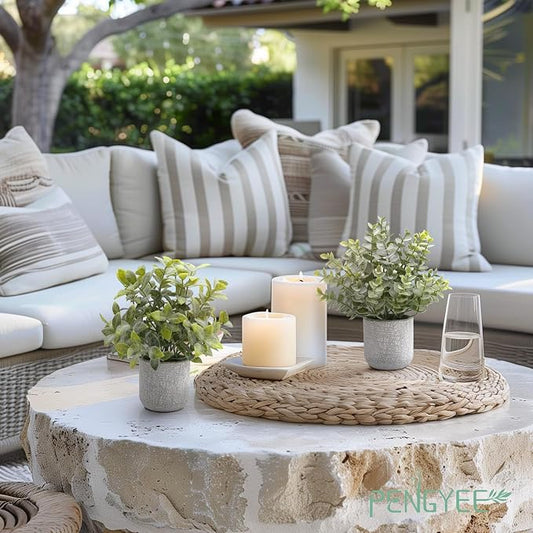 4 Pack Small Fake Plants in Farmhouse Concrete Planter | Artificial Plants Indoor, Home Decor, Bathroom Bedroom Shelf Desk Office Table Kitchen Room Decor