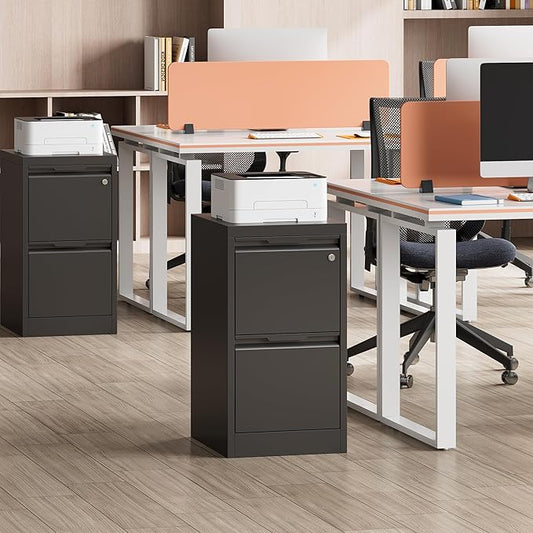 2 Drawer Metal Vertical File Cabinet with Lock, 17.8 Inch Depth Under Desk Small Filing Cabinet, Fits Letter & Legal Size Files for Home Office, Easy to Assemble