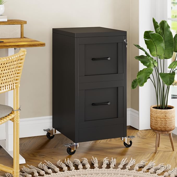 GAIOUS 2 Drawer Mobile File Cabinet with Wheels, Locked Under Desk Cabinet | Metal Filing Cabints with Lock, Black Rolling File Cabinet for Home Office, Fits Letter/Legal/A4 Size