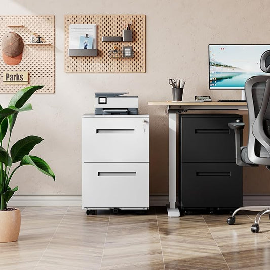 DEVAISE 2-Drawer Metal File Cabinet with Lock, Mobile Filing Cabinet Under Desk for Home Office, Fully Assembled Printer Stand fits F4/A4/Letter/Legal Size, White, 20" D x 15" W x 27" H