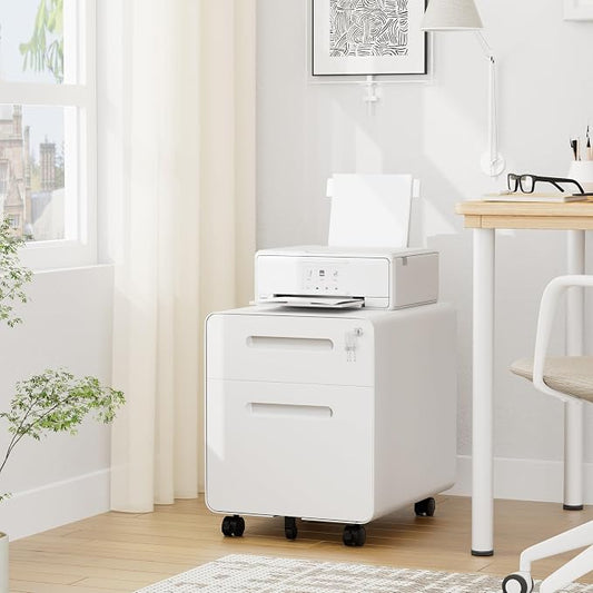 File Cabinet, Mobile Filing Cabinet with Lock, All Steel Structure Printer Stand, Fully Assembled Except Casters, Under Desk Storage for Home Office, 2 Drawers Document Organizer, White