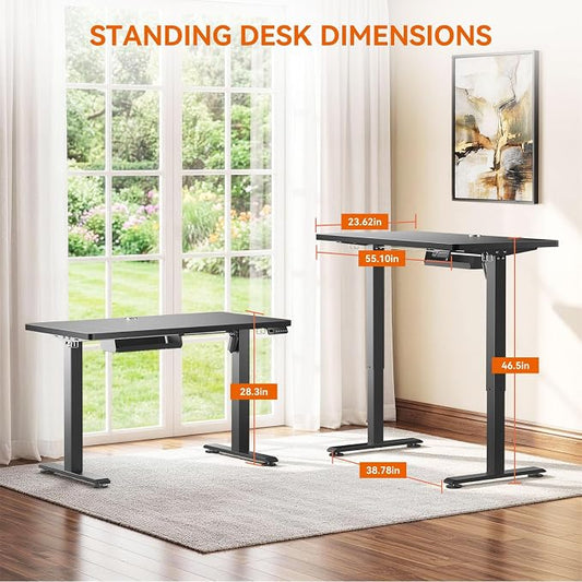 Standing Desk, 48 x 24 Inches Electric Height Adjustable Desk, Sit Stand up Desk, Memory Computer Home Office Gaming Desk with 3 Preset Heights, Wood Table Cable Management Box, Black
