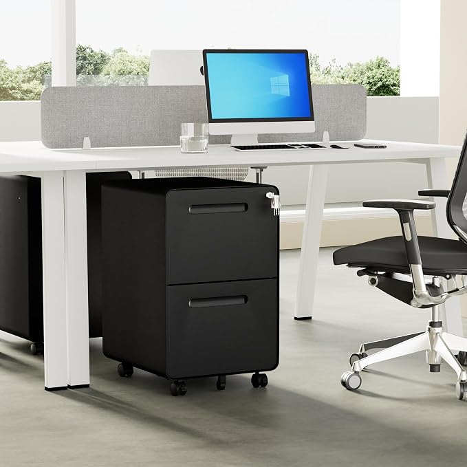 File Cabinet, Mobile Filing Cabinet with Lock, All Steel Structure Printer Stand, Fully Assembled Except Casters, Under Desk Storage for Home Office, 2 Drawers Document Organizer, Black