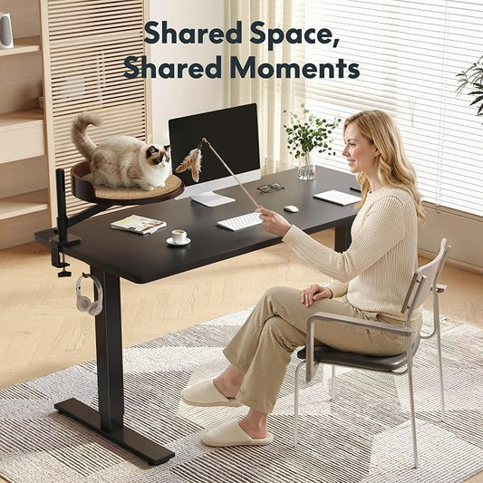 FLEXISPOT EN2 55" x 28" Standing Desk with Solid Wood Cat Bed Bundle, 1" Thick Desktop, Desk-Mounted Cat Perch with Scratcher, Black