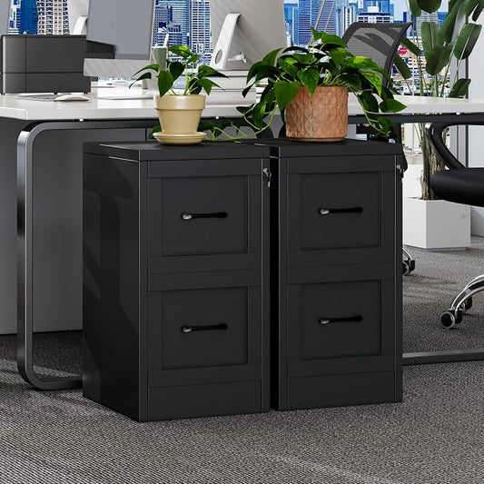GAIOUS Metal Vertical File Cabinet with Lock, Home Office File Cabinet | 2 Drawer Under Desk Cabinet, Metal Filing Cabinet, Black Lockable Storage Cabinet, Fits Letter/Legal/A4 Size