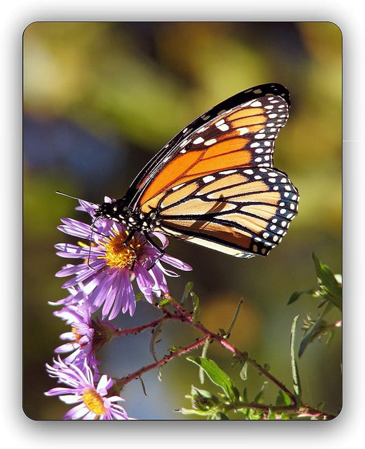 Monarch Butterfly Computer Mouse Pad