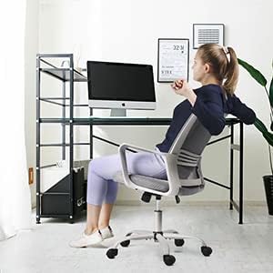 Office Chair Ergonomic Mesh Chair Computer Desk Chair Executive Home Office Chairs with Lumbar Support Armrest Rolling Swivel Adjustable Mid Back Grey