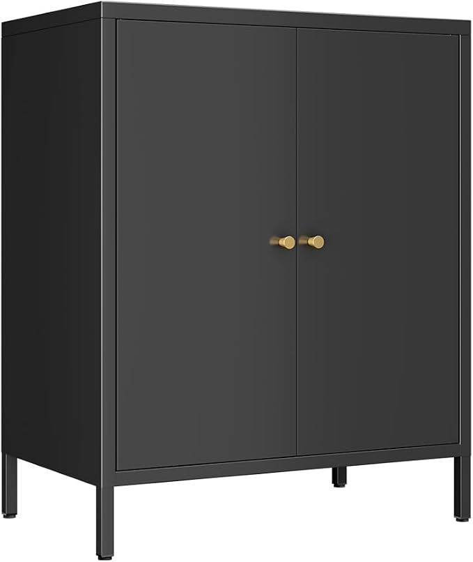 2 Door Metal Accent Storage Cabinet-Locker Cabinet for Office Room,Garage-Metal Storage Cabinet with 1 Adjustable Shelves (Black)