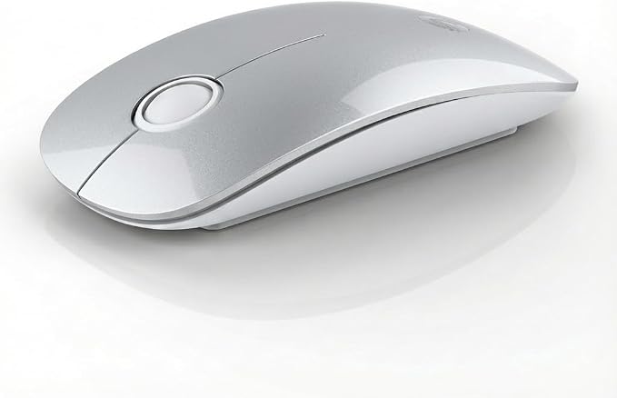 RAPIQUE R306 Wireless Mouse, Bluetooth 5.1 & 2.4GHz Dual Mode Silent Mouse, Silver Gloss Top with White Matte Base, Slim Portable Mouse for Laptop, MacBook,Tablet, Chromebook (Silvery)