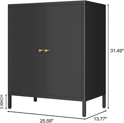 2 Door Metal Accent Storage Cabinet for Home, Living Room, Office Room,Kitchen-Metal Locker Cabinet with 1 Adjustable Shelves-2-Tier (Small 2 Door Cabinet, Black)