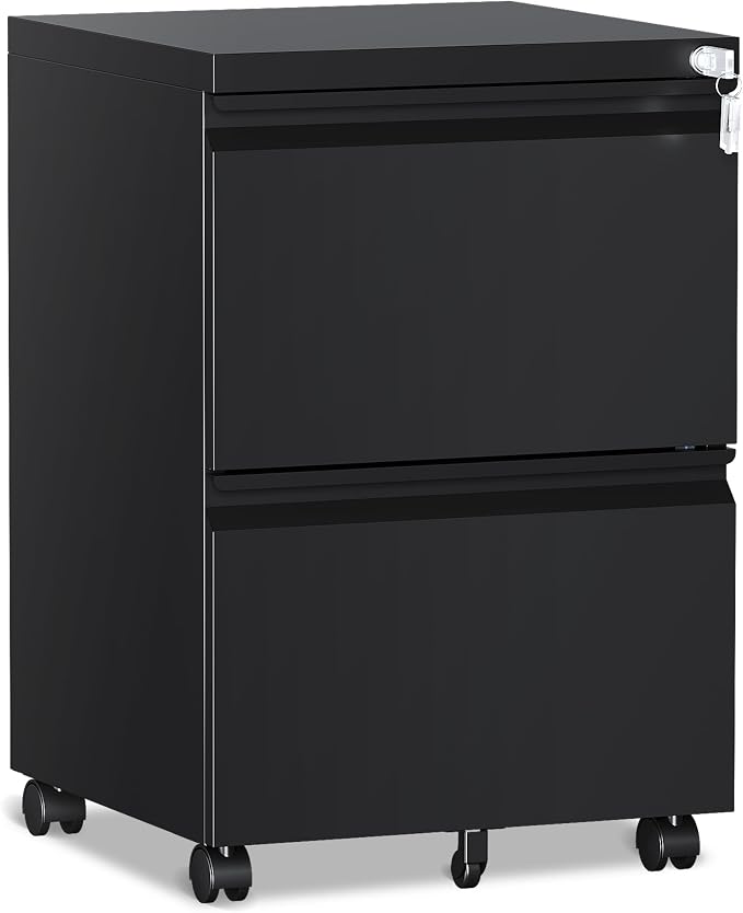 RAVIGIN 2 Drawer File Cabinet，Mobile Filing Cabinet with Lock and Wheels，Fully Assembled Metal Under Desk File Cabinets for A4/Letter/Legal Size（Black