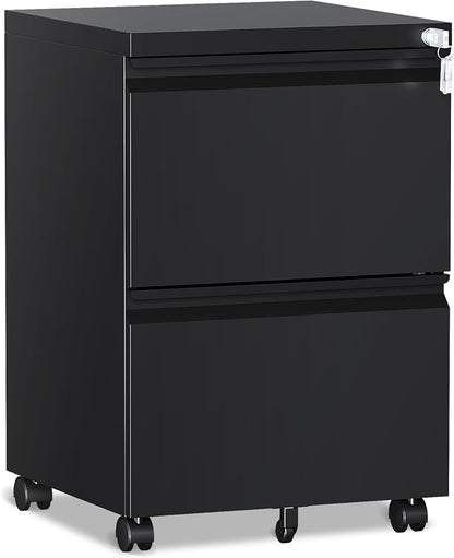 RAVIGIN 2 Drawer File Cabinet，Mobile Filing Cabinet with Lock and Wheels，Fully Assembled Metal Under Desk File Cabinets for A4/Letter/Legal Size（Black