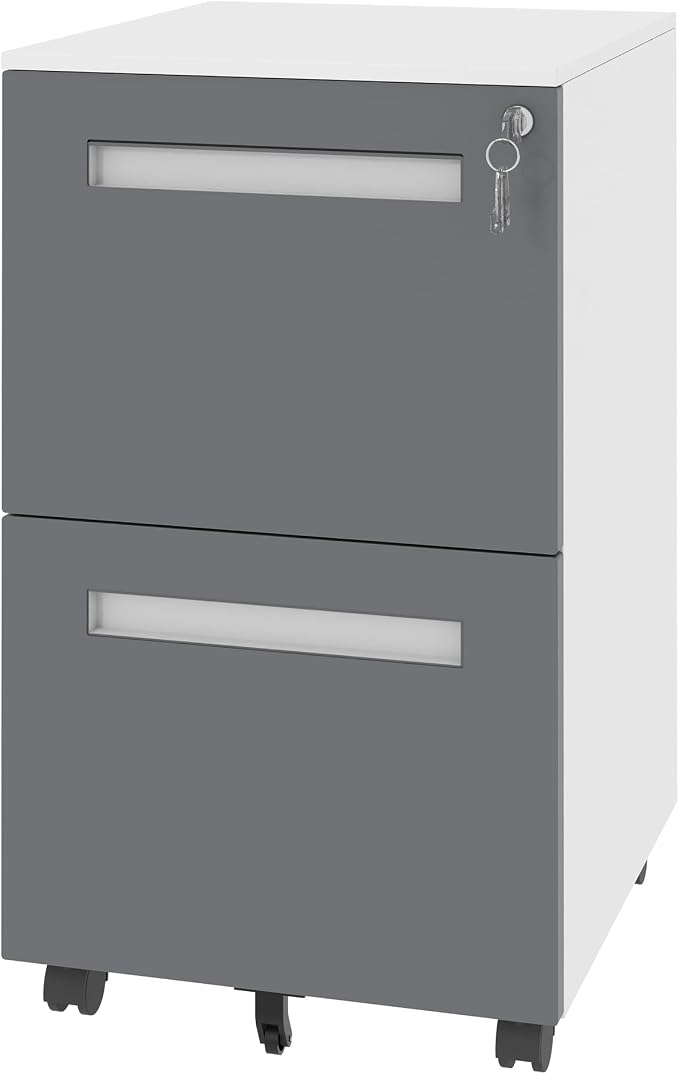 SAWJEC 2 Drawer File Cabinet with Lock, Fully Assembled Filing Cabinet Rolling Printer Stand Under Desk fits Legal/A4/Letter Size, Home Office Storage,18" D x 15" W x 27" H, Grey