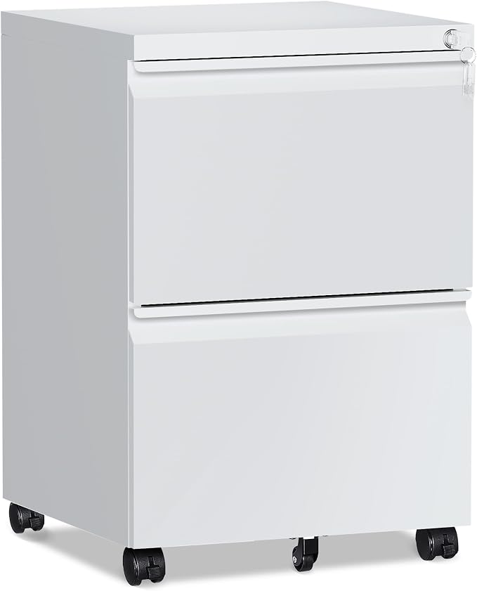 RAVIGIN 2 Drawer File Cabinet，Mobile Filing Cabinet with Lock and Wheels，Fully Assembled Metal Under Desk File Cabinets for A4/Letter/Legal Size（White