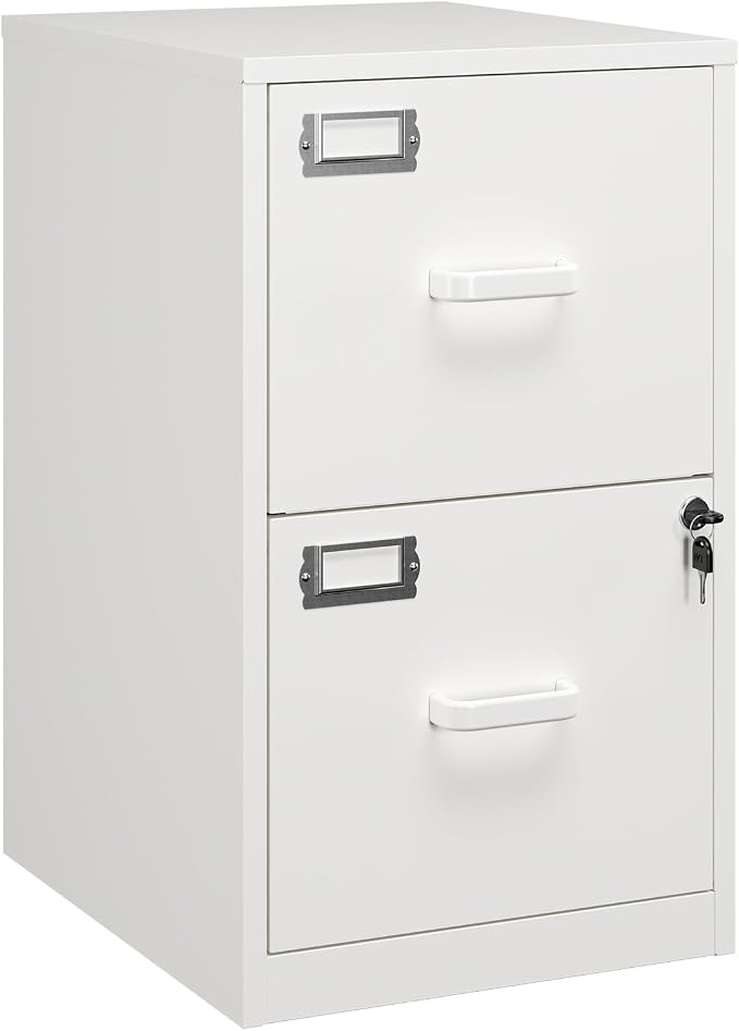 RAVIGIN 2 Drawer File Cabinet with Lock,Metal File Cabinets for Home Office, Under Desk File Cabinet for A4/Letter/Legal Size (White)