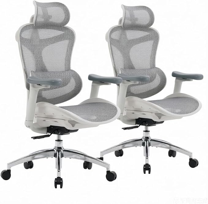 SIHOO Doro C300 Ergonomic Office Chair with Ultra Soft 3D Armrests, Dynamic Lumbar Support for Home Office Chair, Adjustable Backrest Desk Chair, Swivel Big and Tall Computer Chair 2 Packs (Grey)