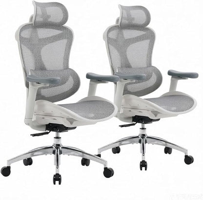 SIHOO Doro C300 Ergonomic Office Chair with Ultra Soft 3D Armrests, Dynamic Lumbar Support for Home Office Chair, Adjustable Backrest Desk Chair, Swivel Big and Tall Computer Chair 2 Packs (Grey)