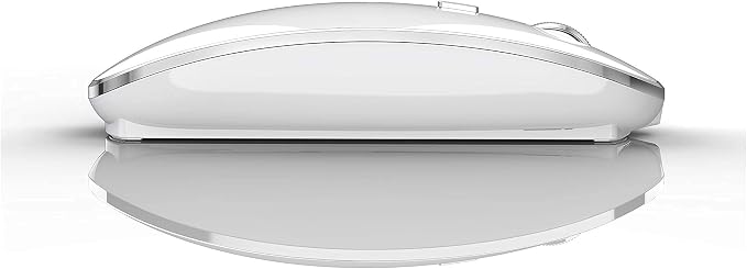 Bluetooth Mouse for iPad pro iPad Air Mac MacBook Pro MacBook Air MacBook Laptop Chromebook Win8/10/11 HP DELL PC