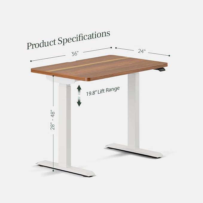 Branch Duo Standing Desk 36 Inches - Adjustable Standing Desk with 20” Range - OLED Control Panel - Frameless Design & Compact Size Suitable for Many Spaces - White Base - Walnut Top