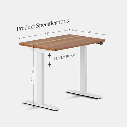 Branch Duo Standing Desk 36 Inches - Adjustable Standing Desk with 20” Range - OLED Control Panel - Frameless Design & Compact Size Suitable for Many Spaces - White Base - Walnut Top