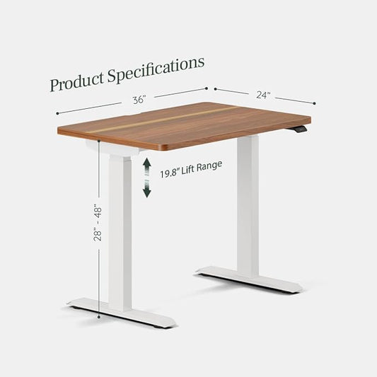 Branch Duo Standing Desk 36 Inches - Adjustable Standing Desk with 20” Range - OLED Control Panel - Frameless Design & Compact Size Suitable for Many Spaces - White Base - Walnut Top