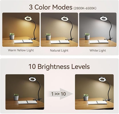 2 Pack LED Clip on Desk Lamp, Metal 360 Adjustable Neck Eye-Caring Clamp Lamp with Memory Function, 3 Color Modes & 10 Brightness Levels for Home, Office, Dorm, Bedroom