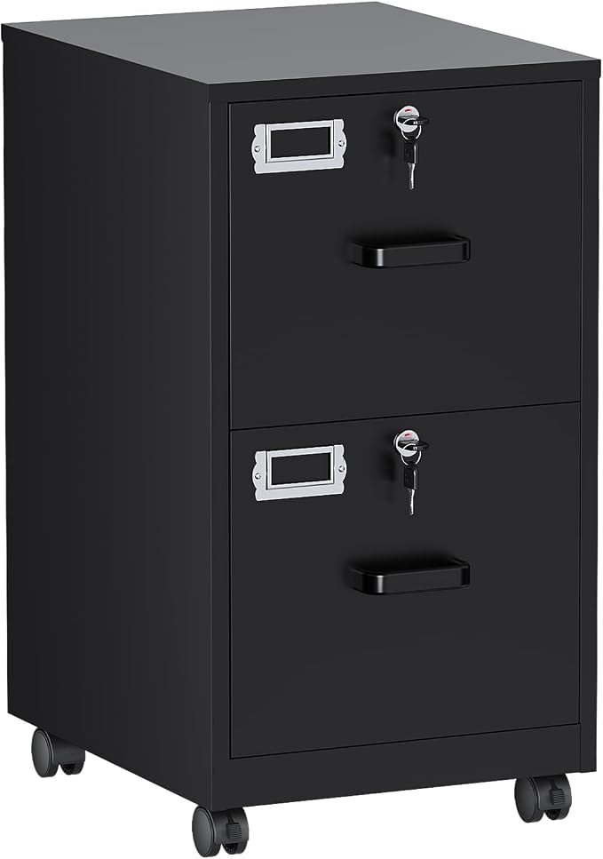 BYNSOE 2 Drawers File Cabinet with Lock Metal Vertical File Cabient with Wheels Mobile File Cabinet for Office Home Legal/Letter/a4 Size Require Assembly