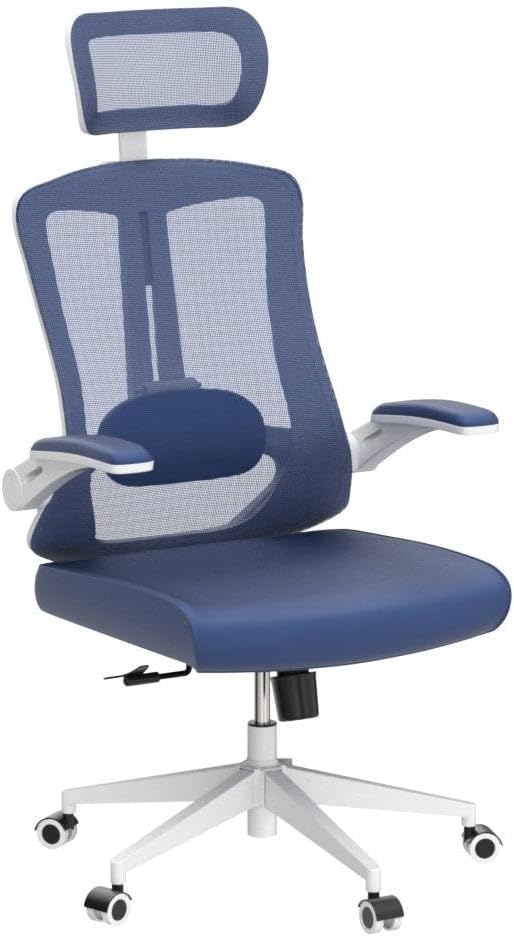 balmstar Ergonomic Office Chair Desk Chair - Mesh Computer Chair with 360° Swivel Wheels, Adjustable 90-130° Recline & Lumbar Support for Home Office, Supports up to 350lbs for Women, Teens