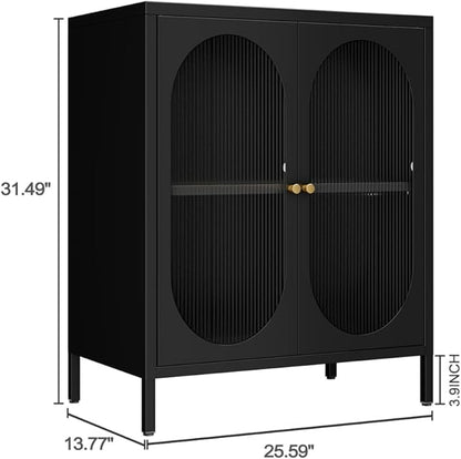 2 Translucent Door Metal Accent Storage Cabinet for Home, Living Room, Office Room,Kitchen-Metal Locker Cabinet with 1 Adjustable Shelves-2-Tier (Black)