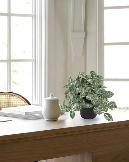 Hollyone Fake Plants 3 Packs Artificial Plants Indoor Faux Plants with Black Plastic Pot Small Fake Potted Plant for Home Aesthetic Living Room Bathroom Desk Shelf Office Decor