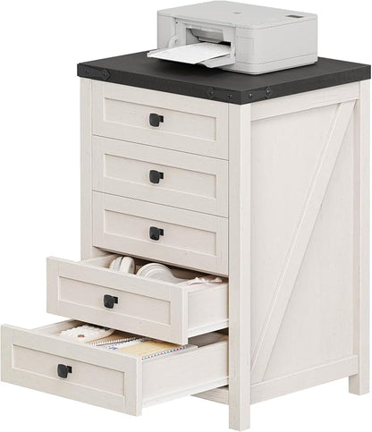 Halitaa 5 Drawer Storage Cabinet, Office Storage Cabinet with 5 Drawers, Small Farmhouse Printer Stand for Home Office, Rustic White and Black