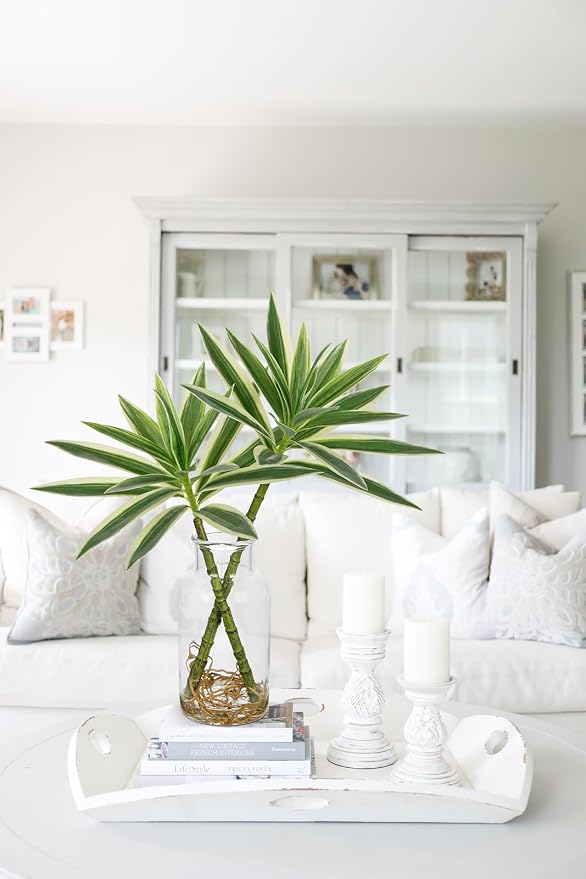 GnFlus Artificial Plants Stems in Glass Vase with Faux Water,Fake Silk Plant Dracaena Leaves for Centerpiece Table Decorations Farmhouse Wedding Home Greenery Decor (Green and White)