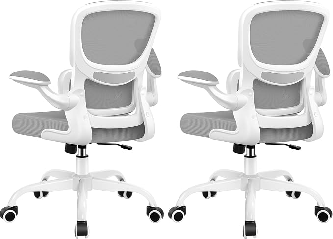 BESTFAIR Ergonomic Mesh Office Chair, Breathable Mesh Computer Desk Chair, Adjustable Lumbar Support, Flip-up Armrests, Executive Swivel Chair for Home Office, LightGray Pack of 2