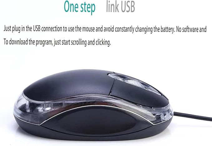 Guiheng 10 Pack Wired Mini Optical Mouse Computer Mouse Ergonomic Mouse with USB Mouse for Laptop PC Desktop mice Compatible with Windows Linux Mac fit for Office Business Home,Kids（Black）