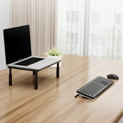 Suptek 16.9"x5.7" Clear Acrylic Tilted Computer Keyboard Stand for Easy Ergonomic Typing, Keyboard Tray Holder Silicone Anti-Slip Case for Office Desk, Home, School, A001