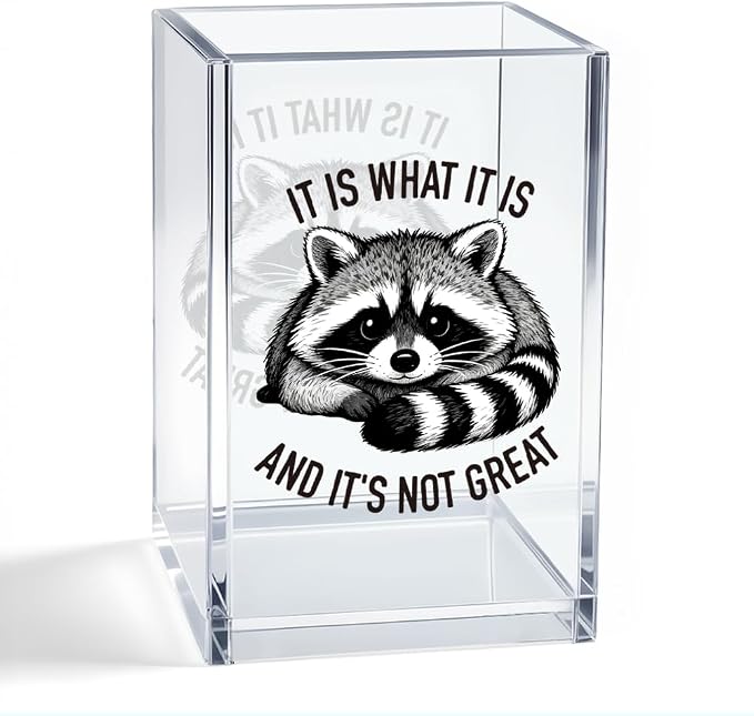 It Is What It Is And It's Not Great Acrylic Organizer Pencil Pen Holder, Funny Raccoon Acrylic Pen Holder, Cute Animal Humor Desk Decor, Desk Organizer Gifts for Coworker Friend Office Worker