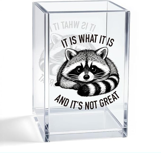 It Is What It Is And It's Not Great Acrylic Organizer Pencil Pen Holder, Funny Raccoon Acrylic Pen Holder, Cute Animal Humor Desk Decor, Desk Organizer Gifts for Coworker Friend Office Worker